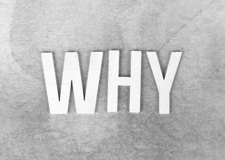 the word why