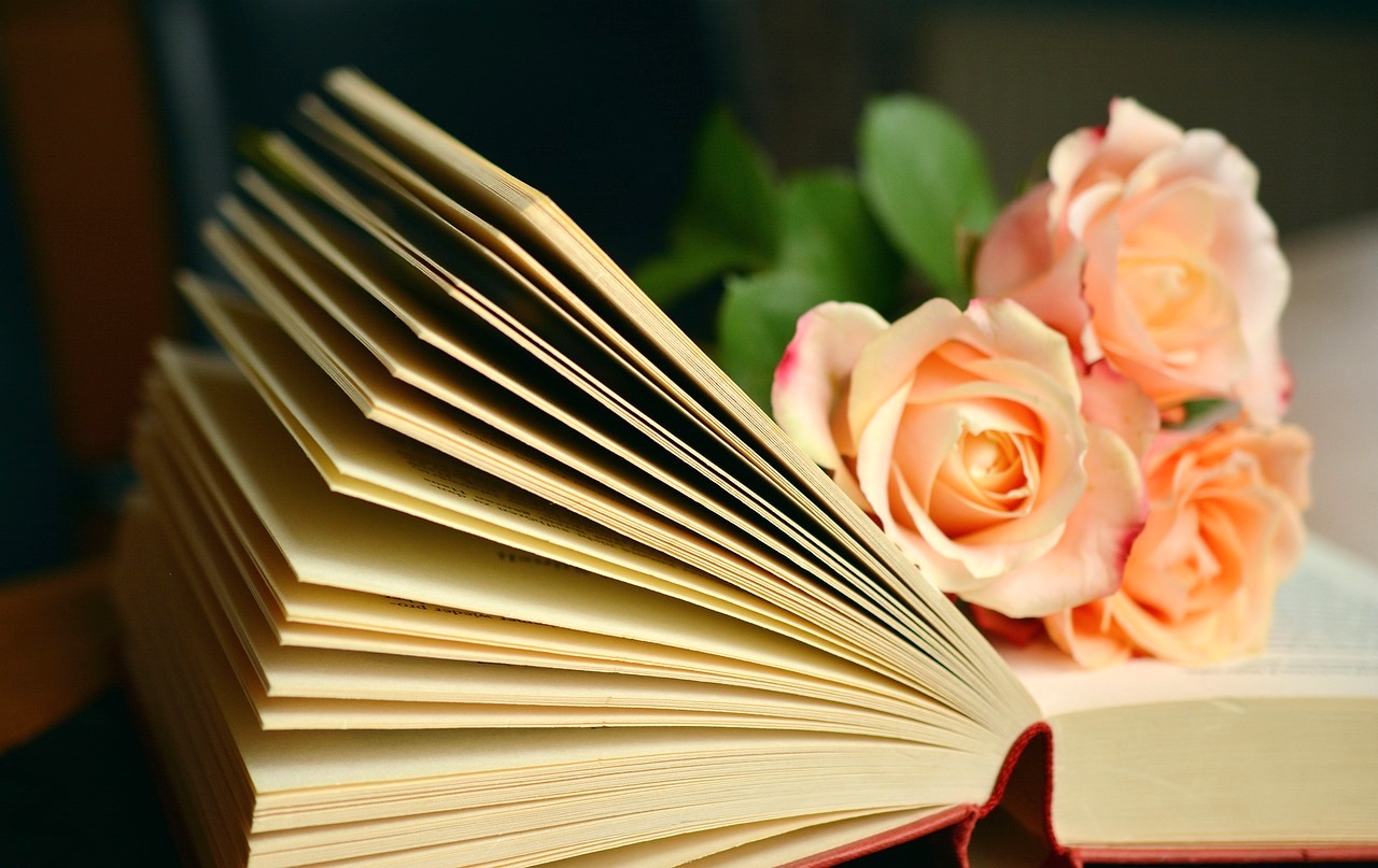 poetry book, comfort for loss and grief