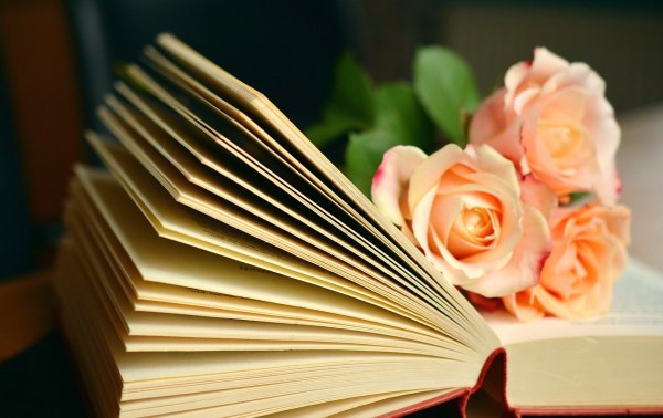 poetry book, comfort for loss and grief