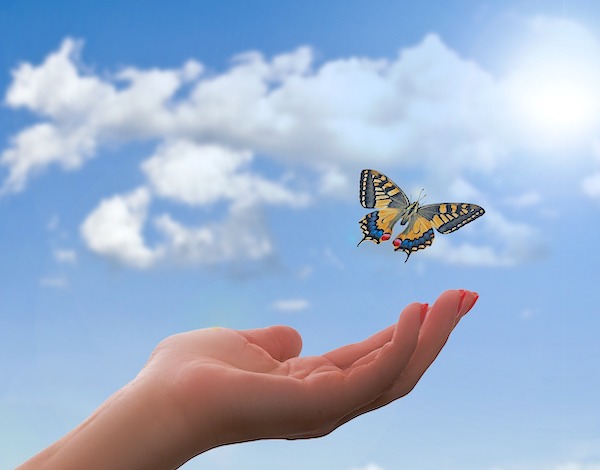 How Can You Mend a Broken Heart After Losing a Child? Hand releasing a butterfly into the sky. How Can You Mend a Broken Heart After Losing a Child? Hand releasing a butterfly into the sky.
