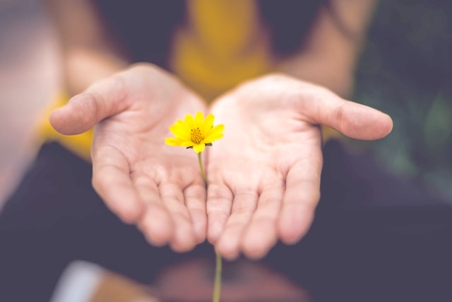 How Can You Mend a Broken Heart After Losing a Child? Hands giving a small yellow flower How Can You Mend a Broken Heart After Losing a Child? Hands giving a small yellow flower